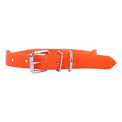 Bright Orange Dog Collar 1