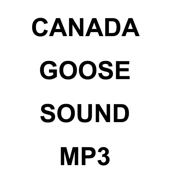 Canada Goose Mp3 Sound Download 1