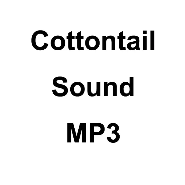 Cottontail Sound Mp3 Download 1