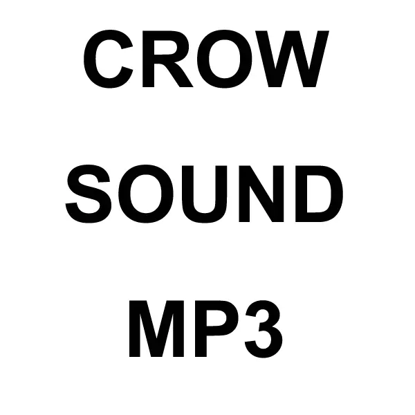 Crow Mp3 Sound Download 1