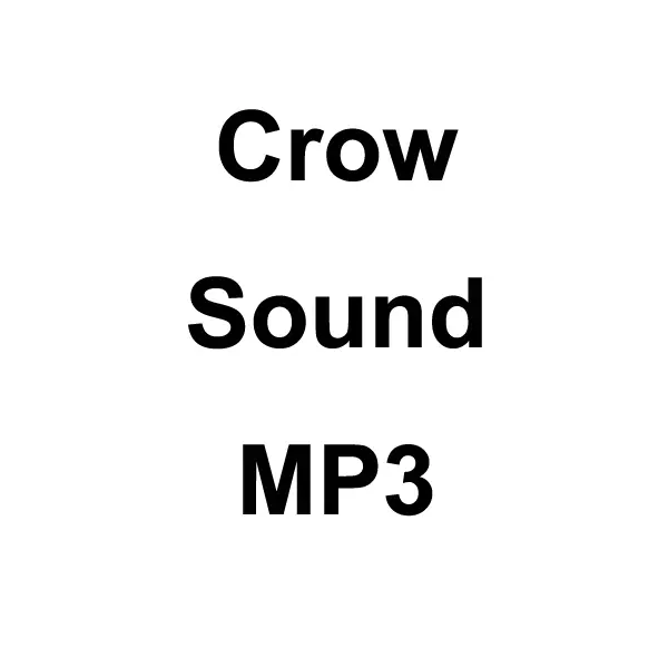 Crow Sound Mp3 Download 1