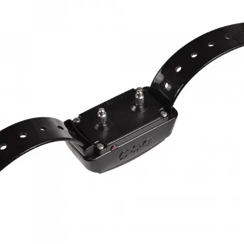 Dog Trace | Collar For Another Dog D-Control Professional 1