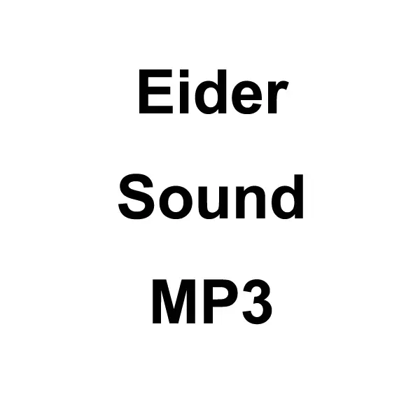 Eider Sound Mp3 Download 1