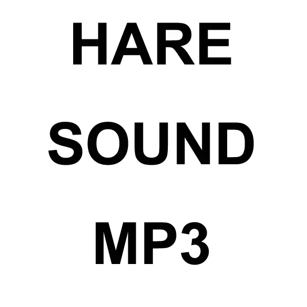 Hare Mp3 Sound Download 1