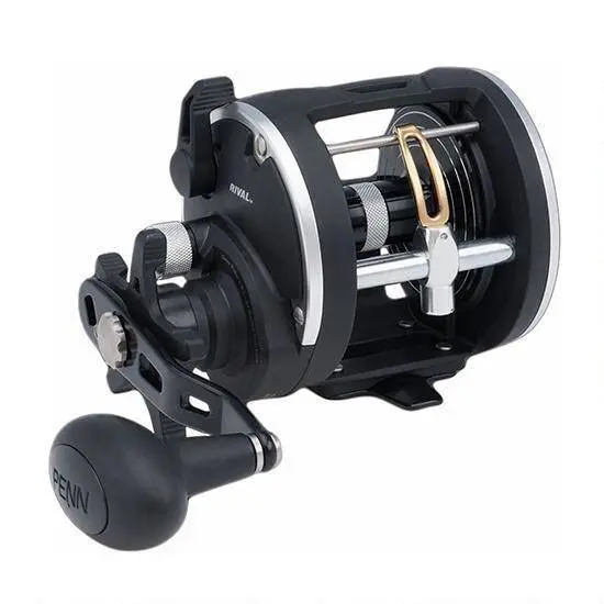 Penn | Rival Level Wind | Fishing Reel 1