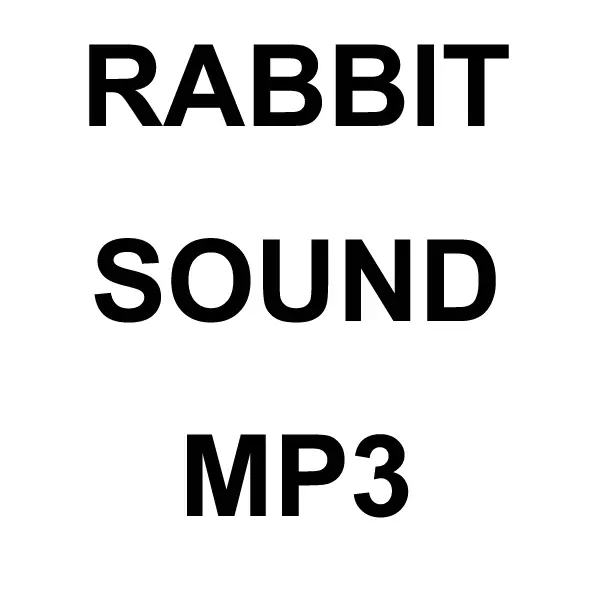 Rabbit-1 Mp3 Sound Download 1