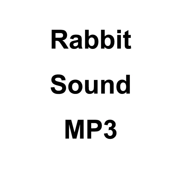 Rabbit Sound Mp3 Download 1