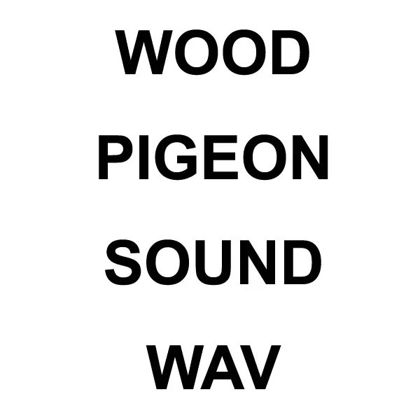 Wood Pigeon Wav Sound Download 1