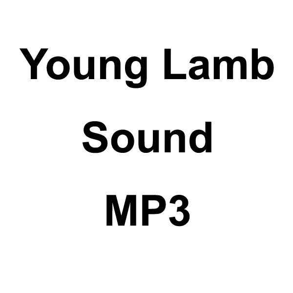 Young Lamb Sound Mp3 Download 1